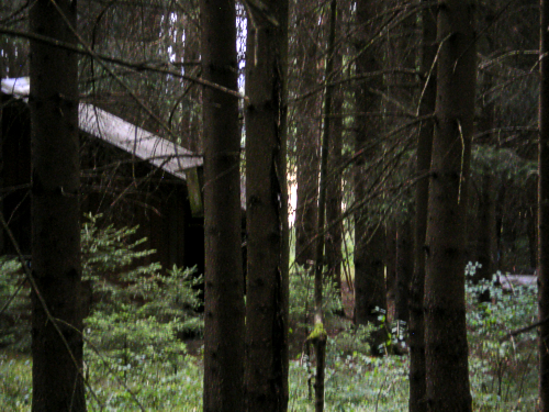  Versteck, Kannabis, Heroin, Drogen usw. frei im Wald abfeiern 