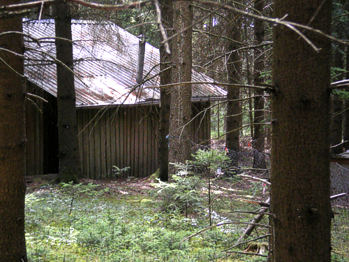  Versteck, Kannabis, Heroin, Drogen usw. frei im Wald abfeiern 